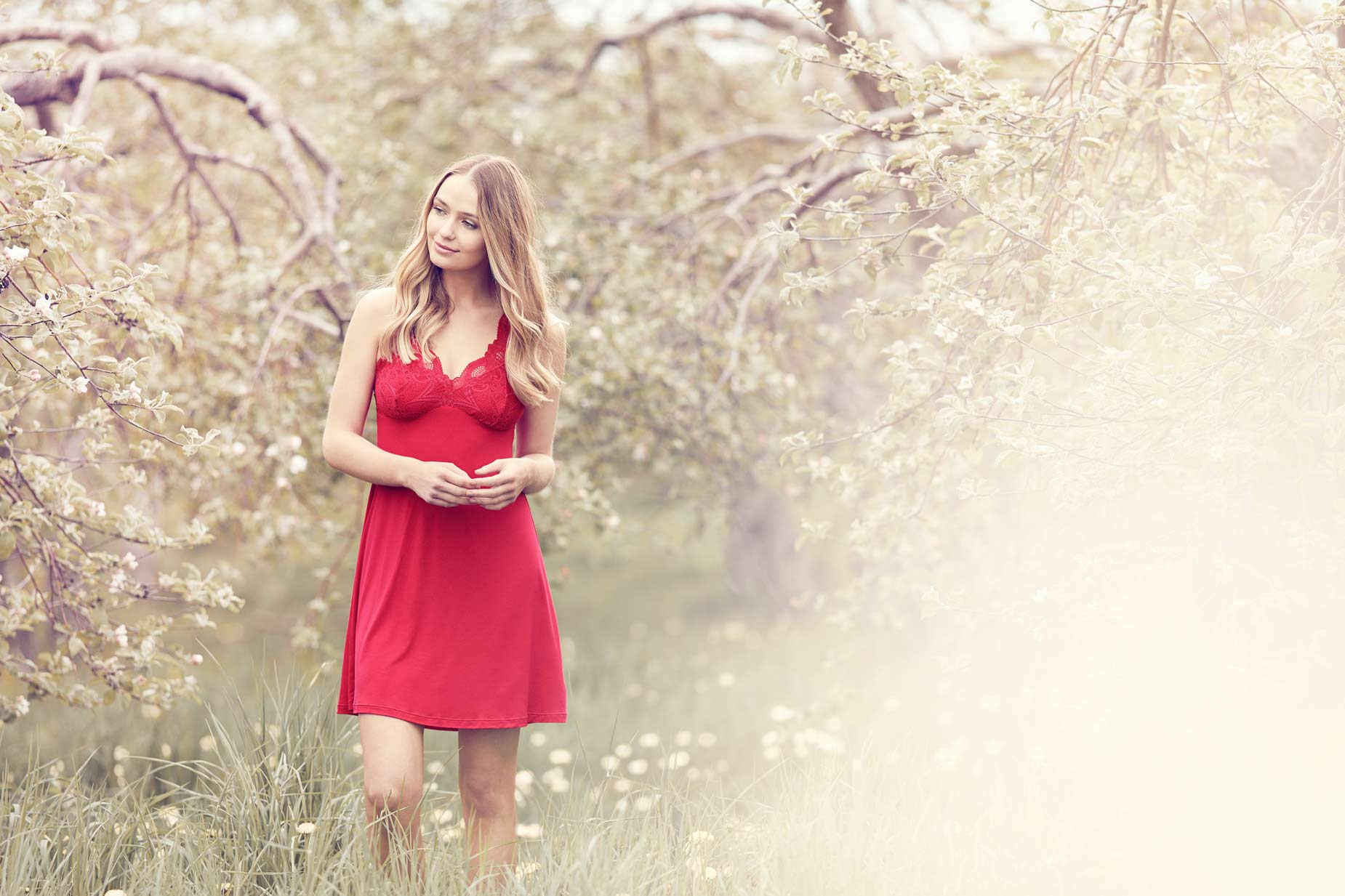 Shot04_630_sunkissed_red_337_LR